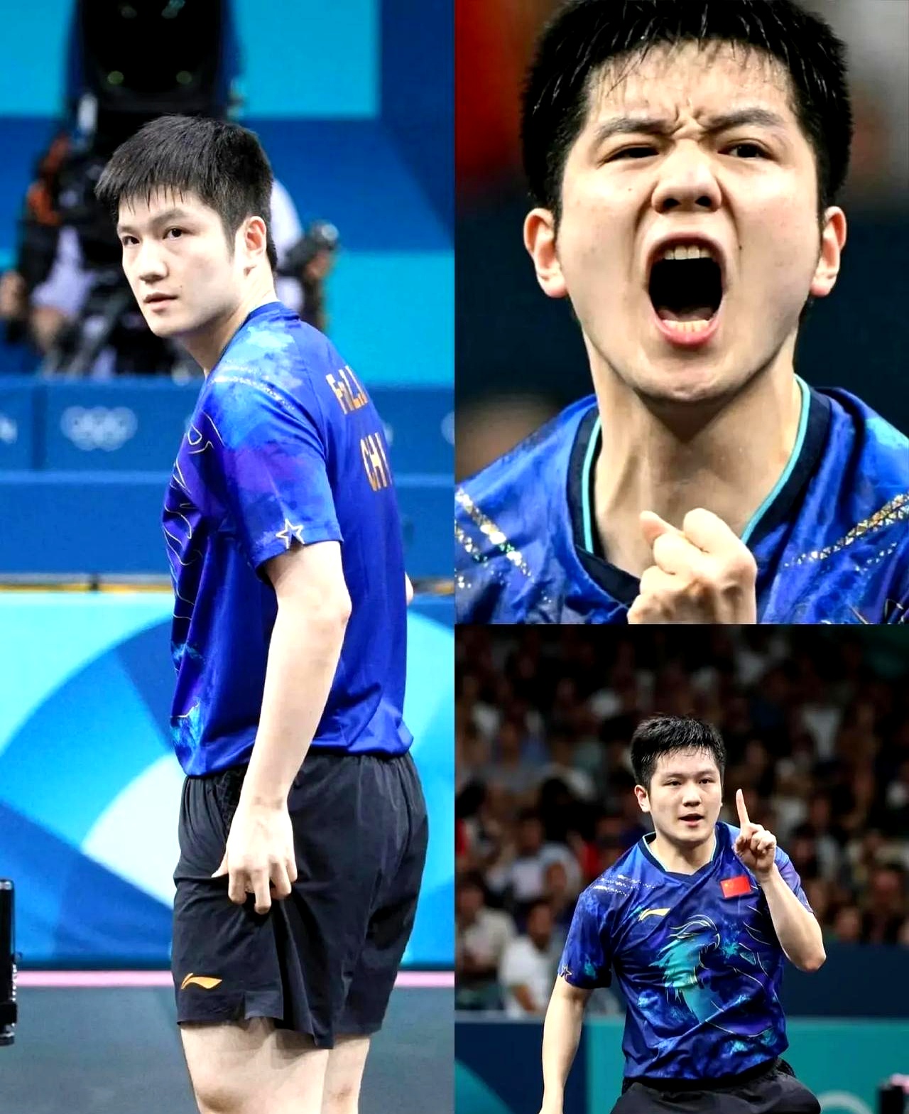 德国队完胜法国队，樊振东高光表现的简单介绍