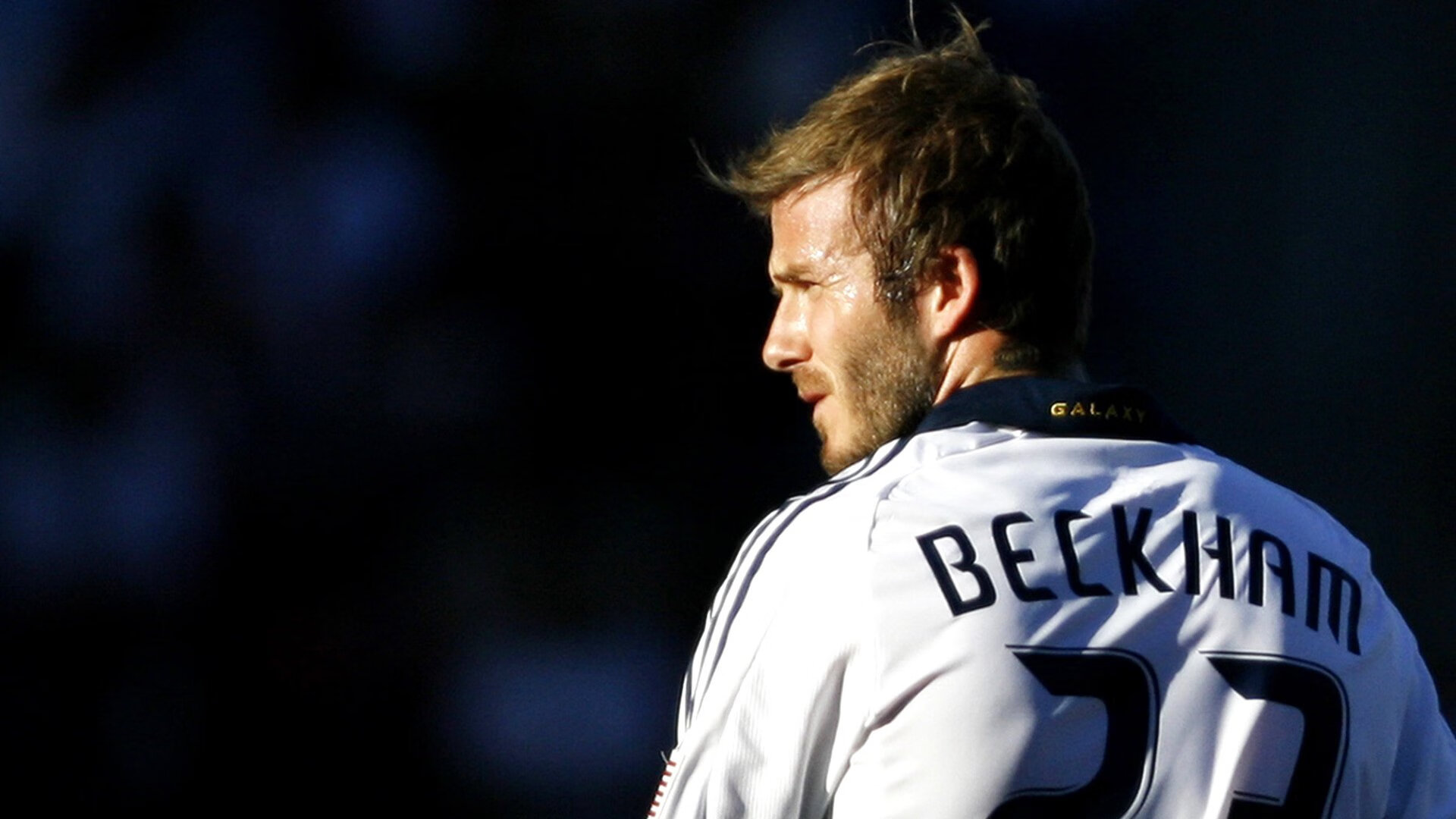 东方明珠黯然失色,武切维奇关键先生本色,鹈鹕军团踏平上海滩