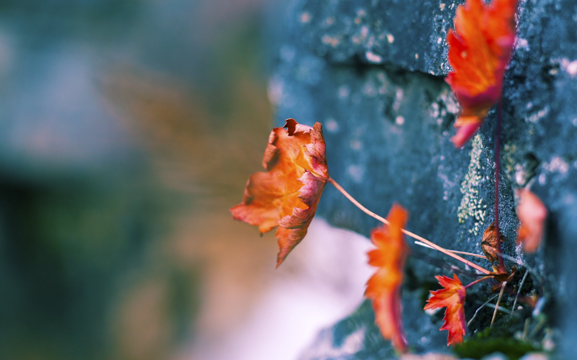 雷火电竞网站-黑夜画布上的精密舞蹈，法比尼奥的街道赛教科书