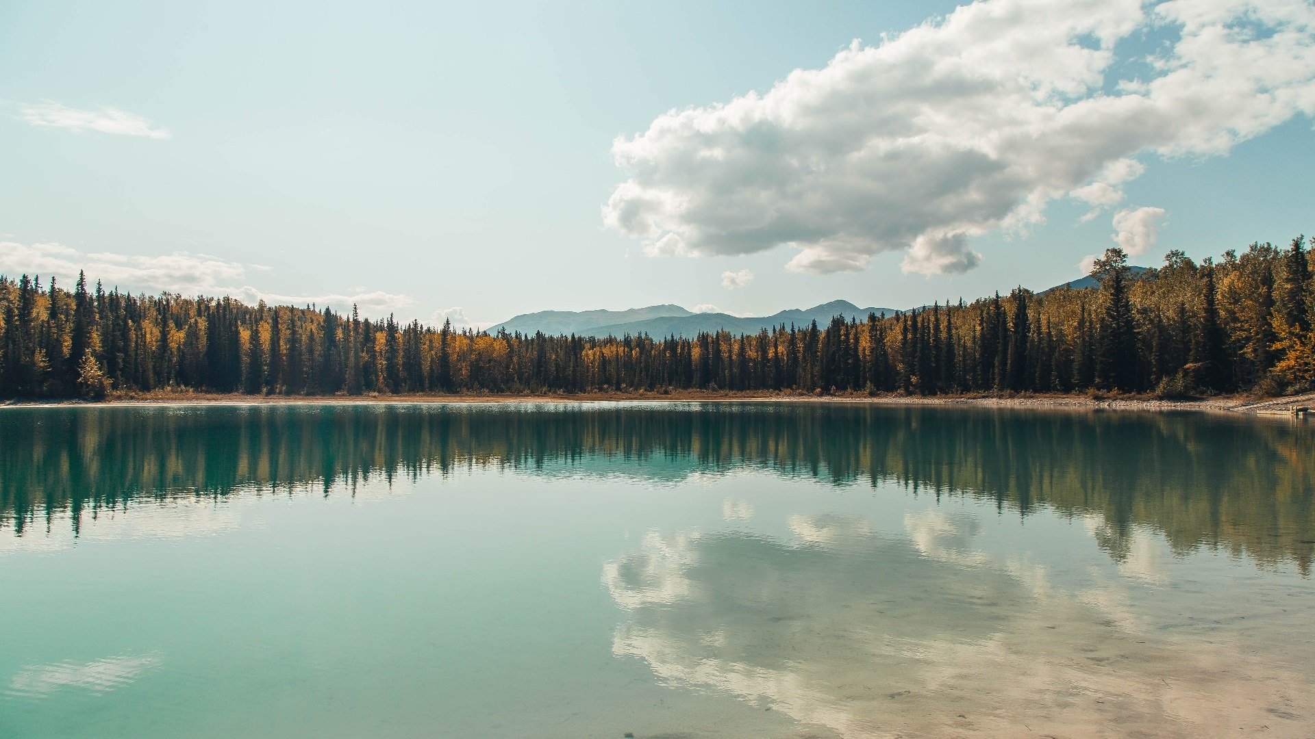 铁蹄与魔术，两种时代的终结者