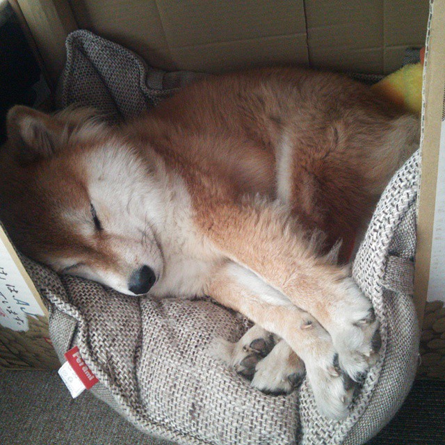 密尔沃基的硬骨头咬碎了洛杉矶的繁华梦