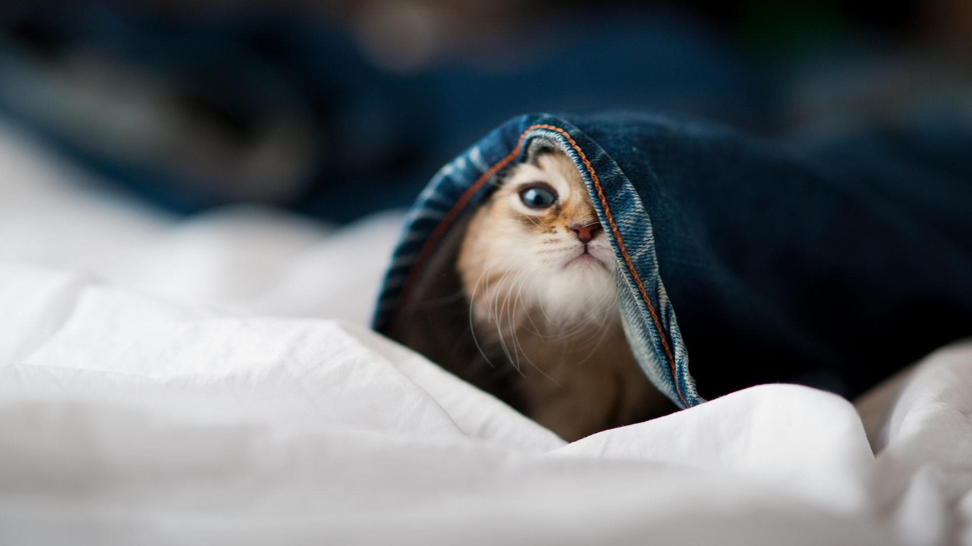 绝境中唯一的神话，吉林加时逆转北京，一场定义孤胆英雄的东决圣战