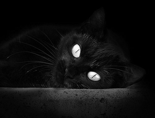 雷火电竞合作-这是一个不错的挑战，让我们开始