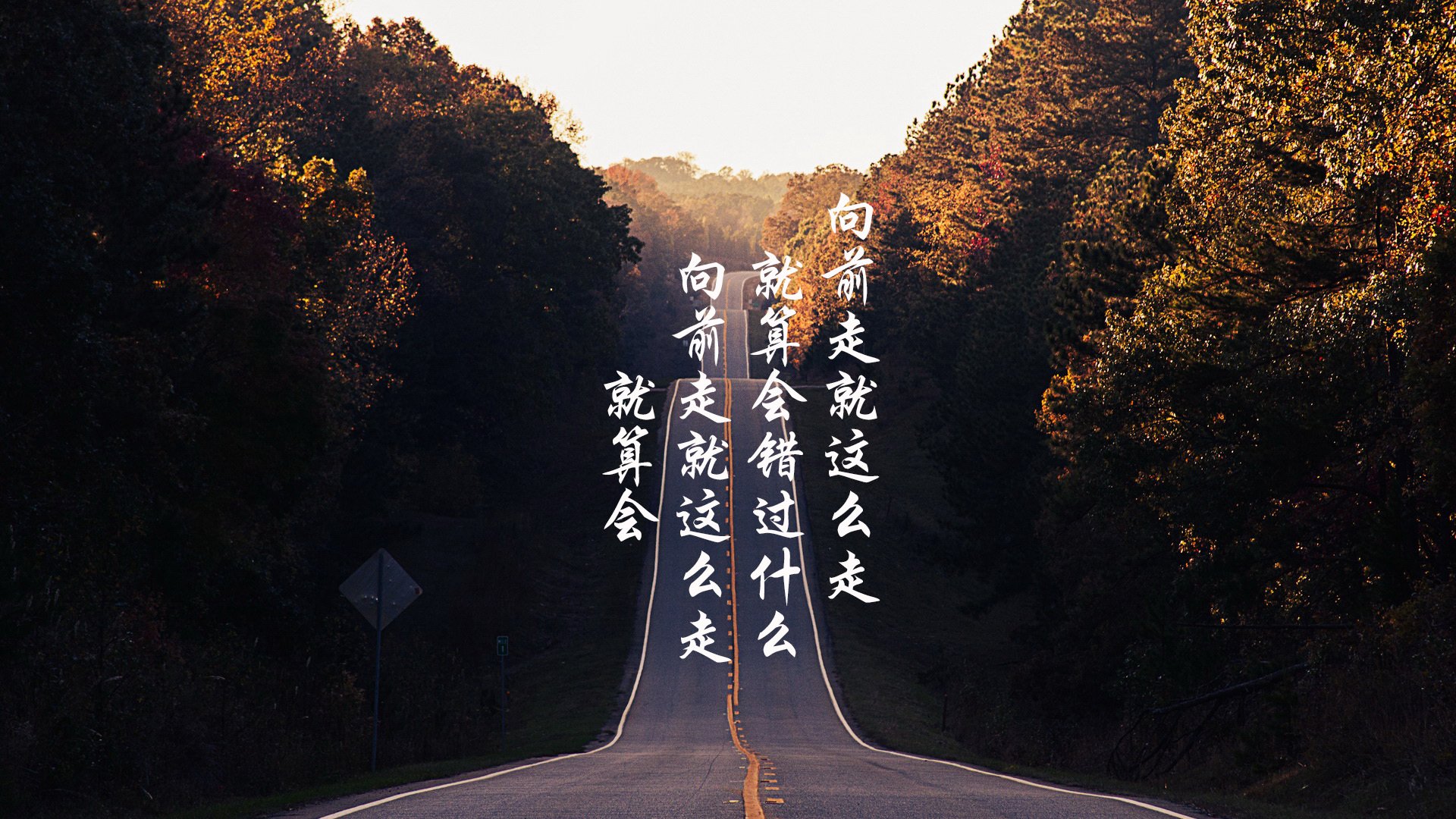 光与影的悖论，当太阳的封锁链锁住整支猛龙，却为何唯独引爆了哈利伯顿这颗数据深水炸弹？