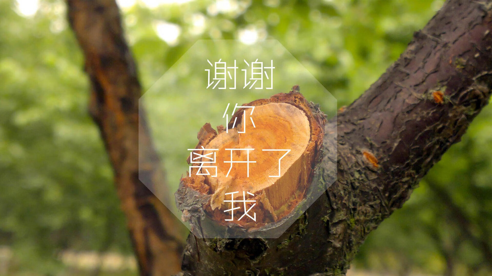 孤星与狼群,当莱万的致命一击,成为乌兹别克斯坦世界杯神话的注脚