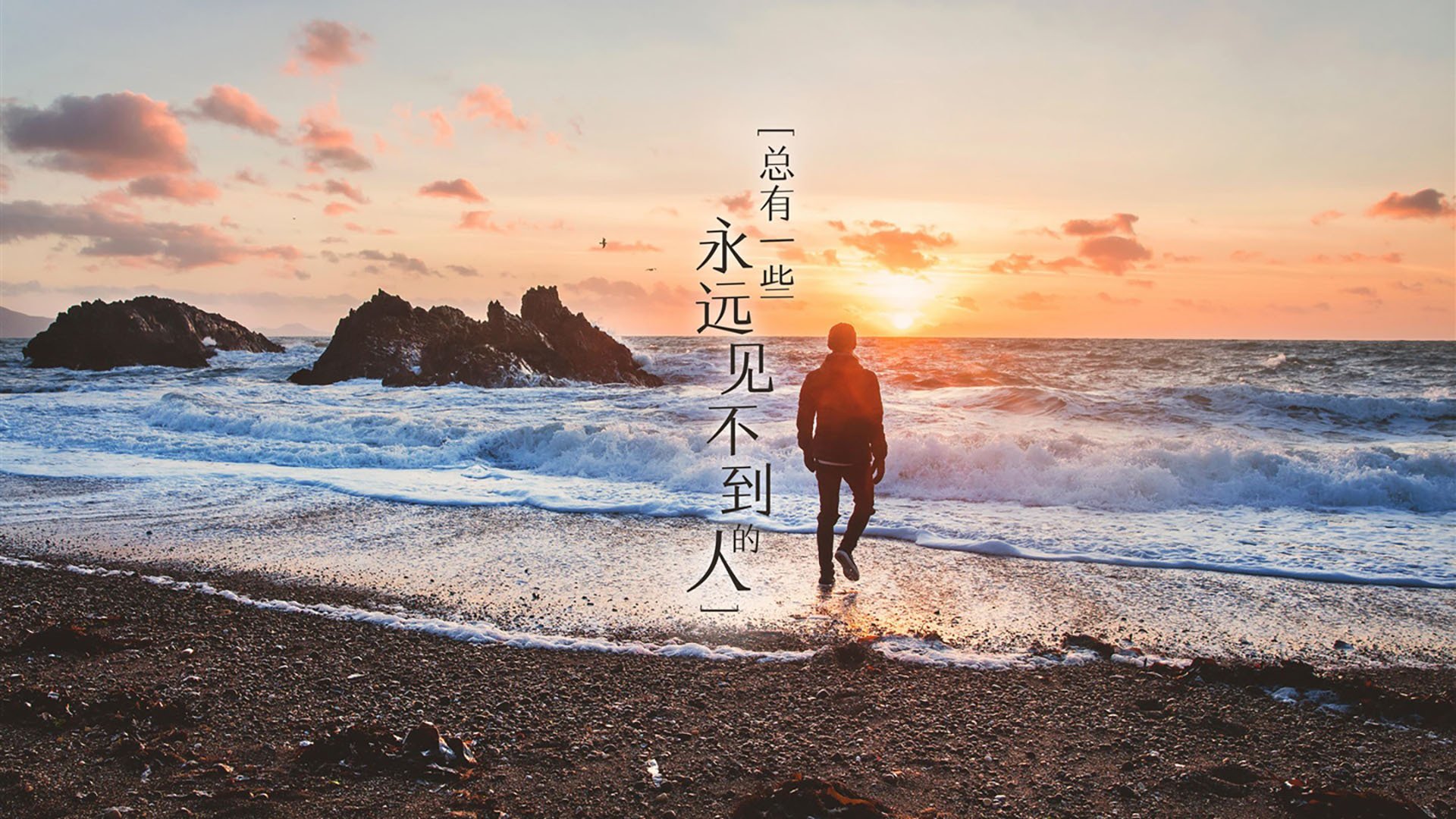 齐耶赫的节拍器,巴西的碾压局,2026世界杯B组,一场关于唯一节奏的残酷对话