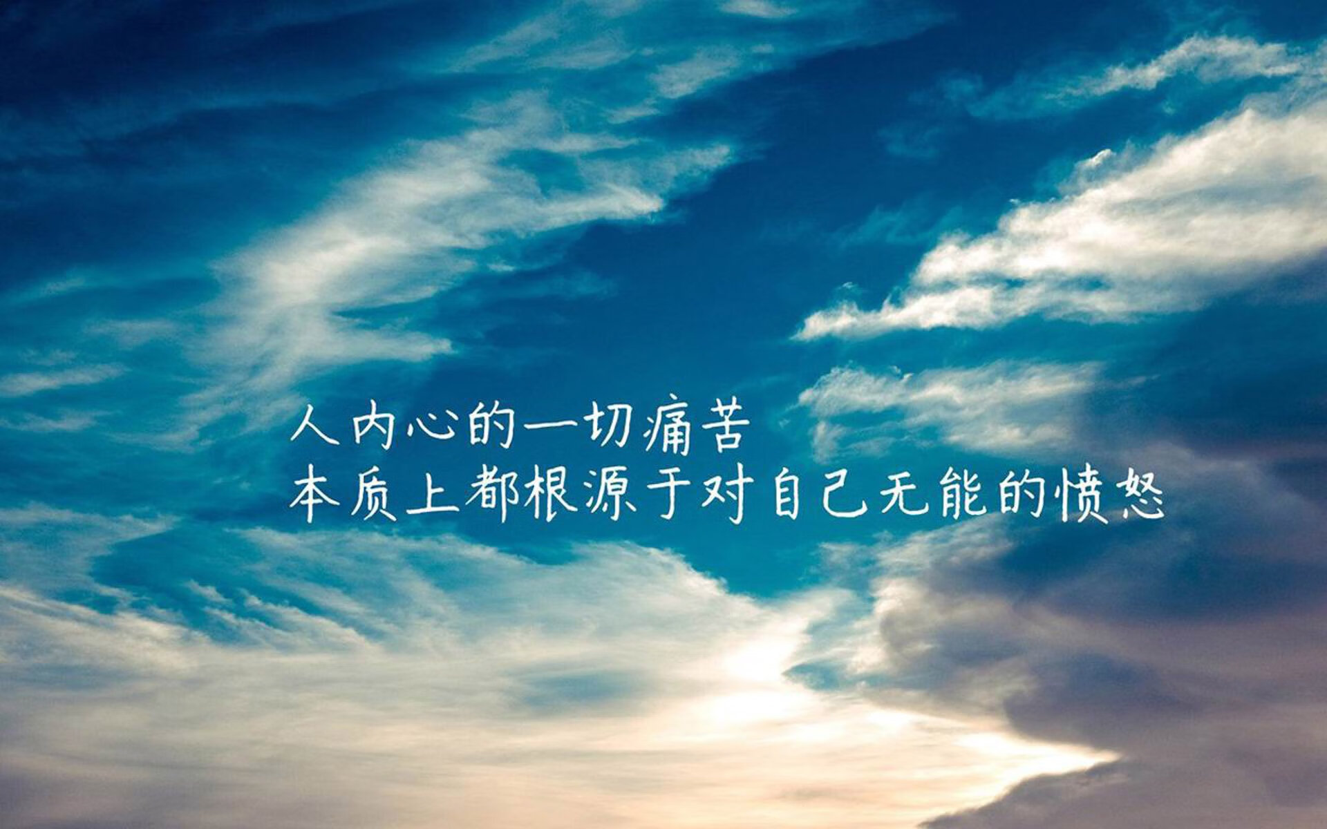 2026世界杯D组绝唱,阿联酋完胜美国,凯恩致命一击背后的临场博弈