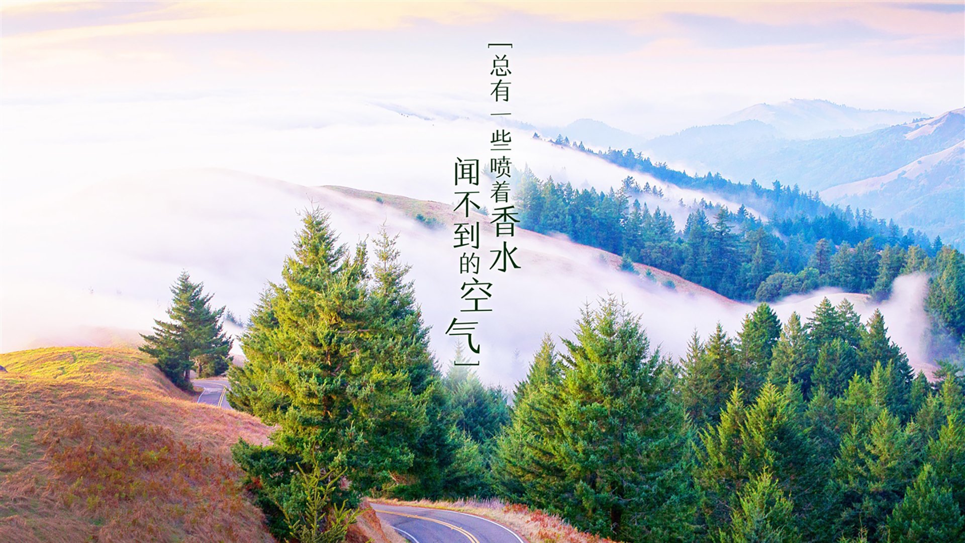 唯一之战,2026世界杯E组焦点战,C罗神级发挥,加拿大碾压厄瓜多尔